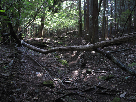 20151014hike (77)